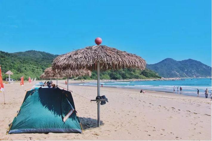 酸奶可以浇花吗直接浇花行吗